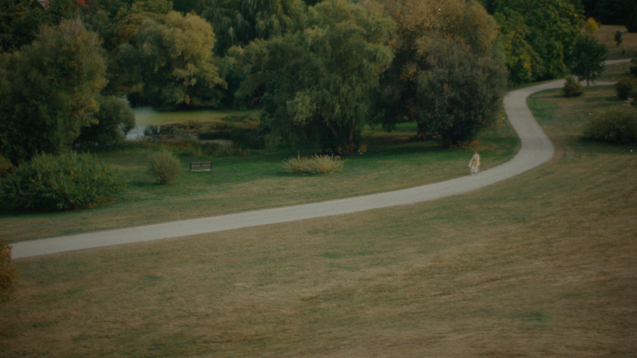 A cyclist following a pale path through a summer garden