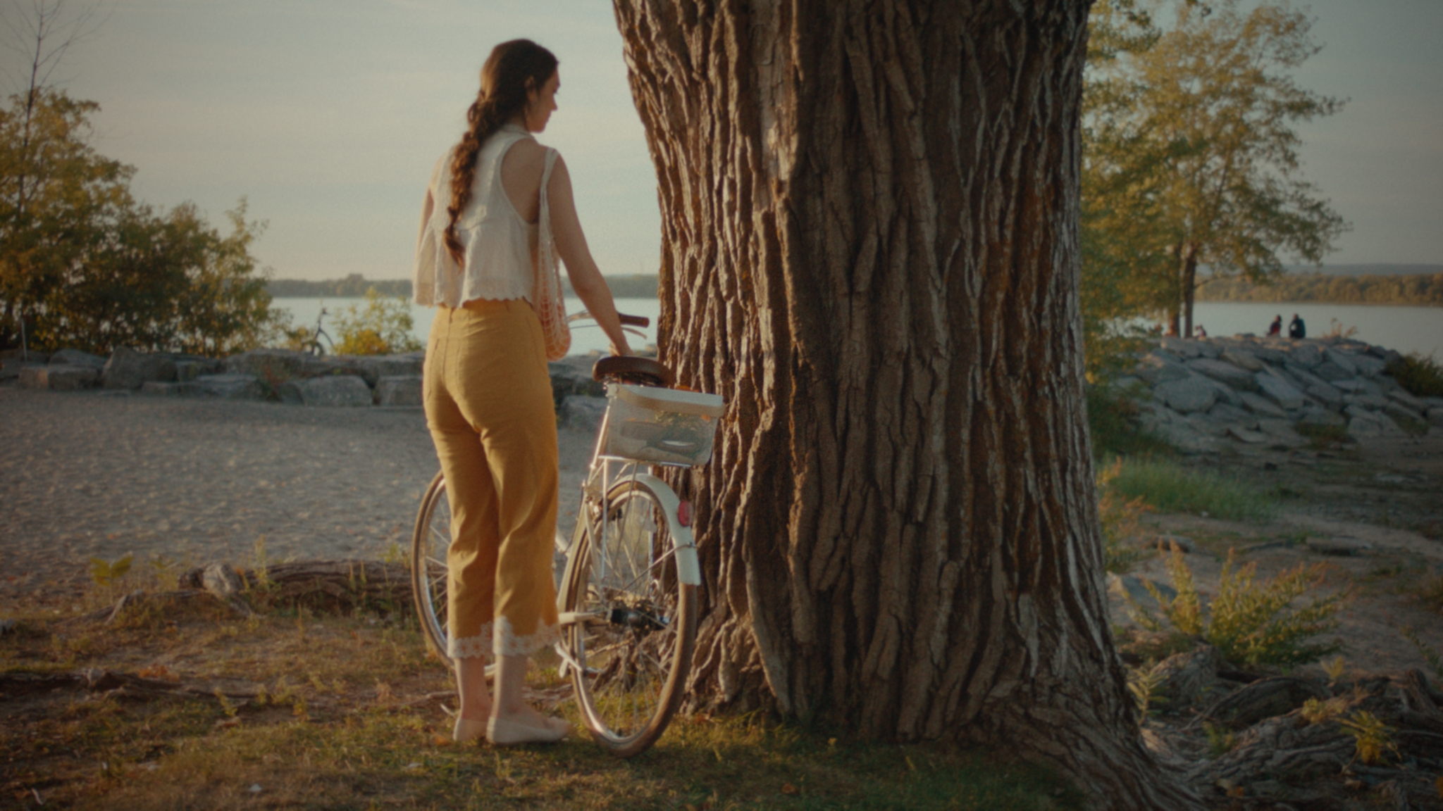 A woman with a bicycle beside a large tree in golden light