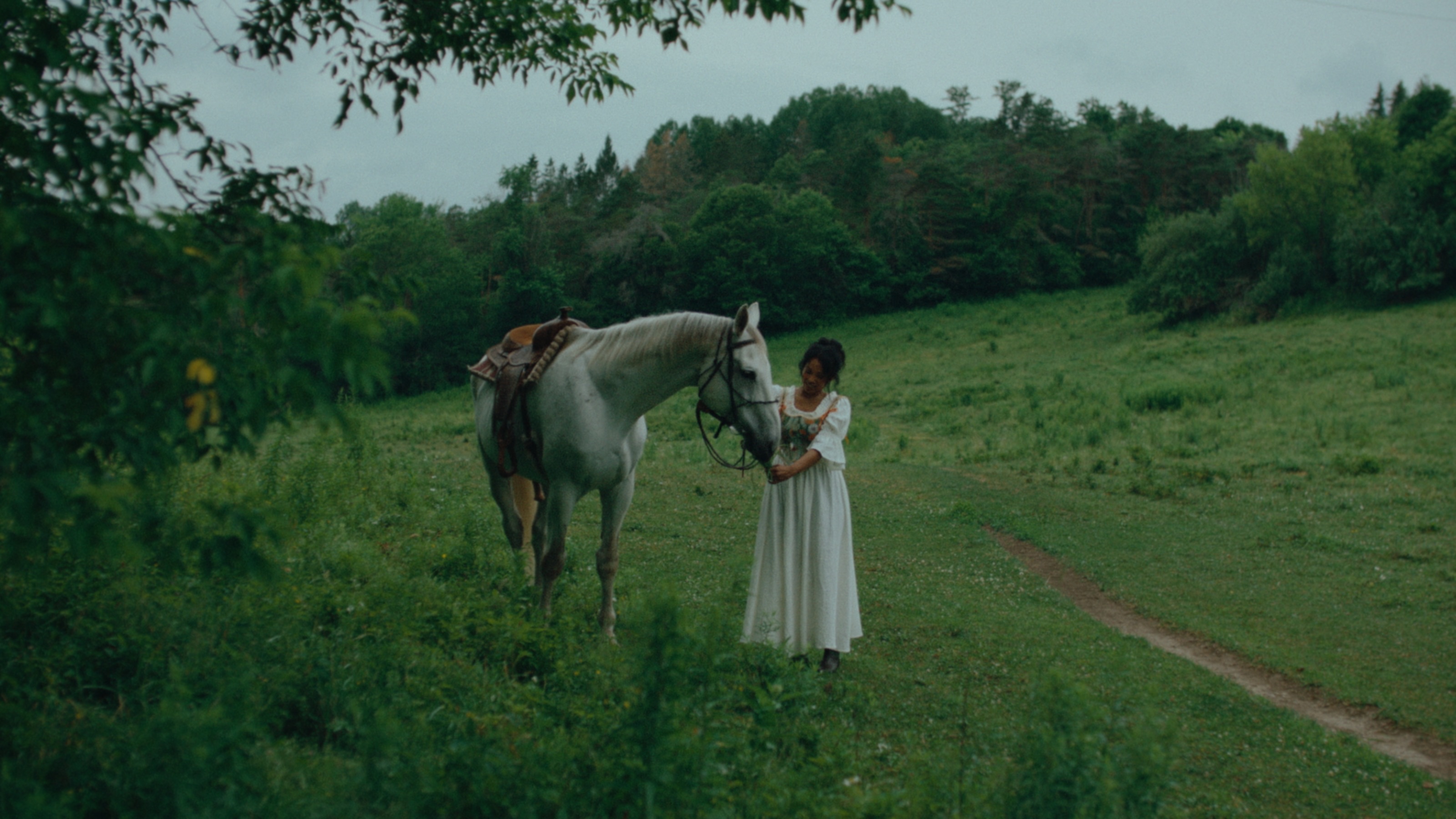 A woman and a white horse in a summer field from The Quest for the Scent of Summer