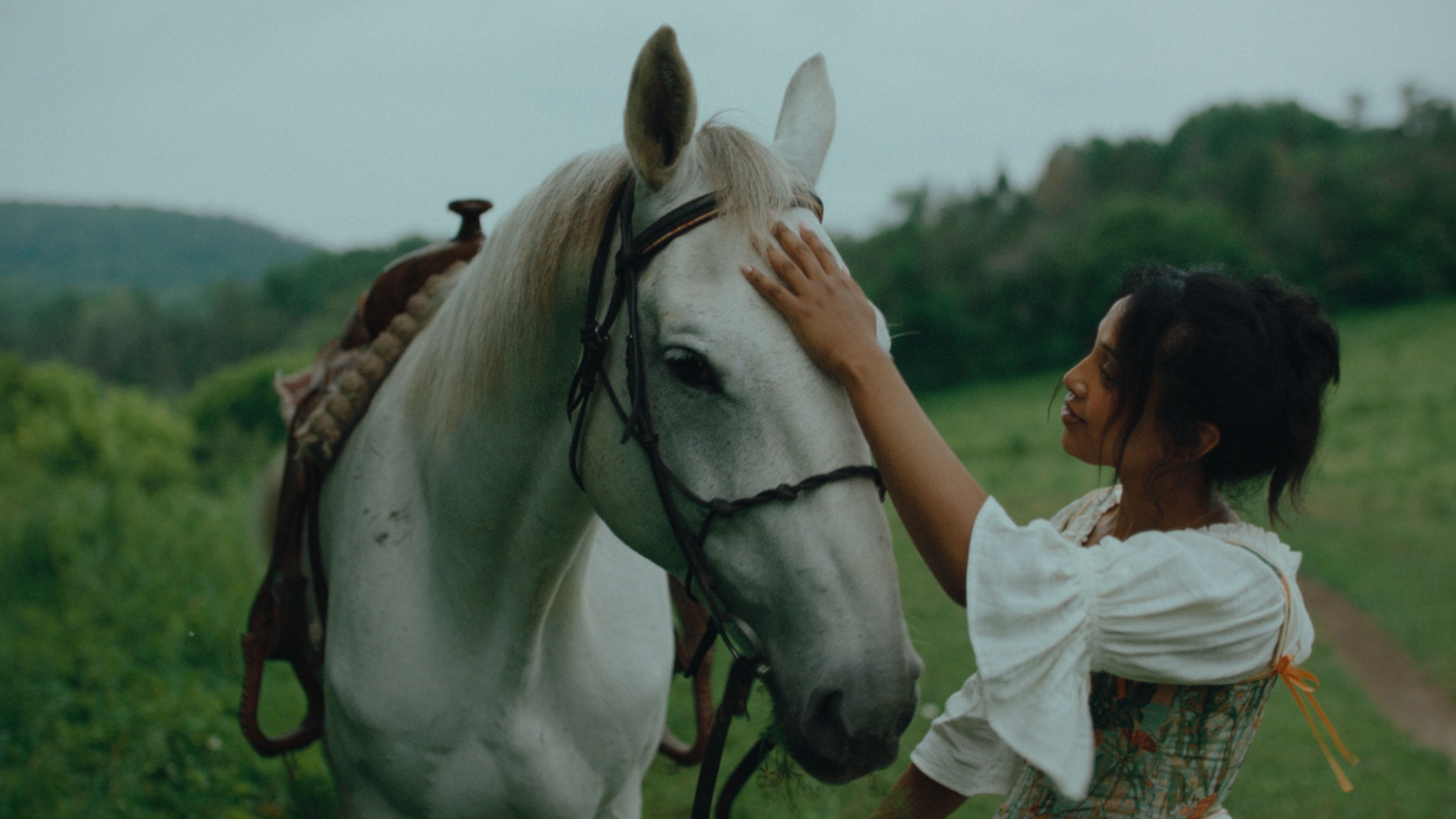 Sara greeting a white horse in a green summer field