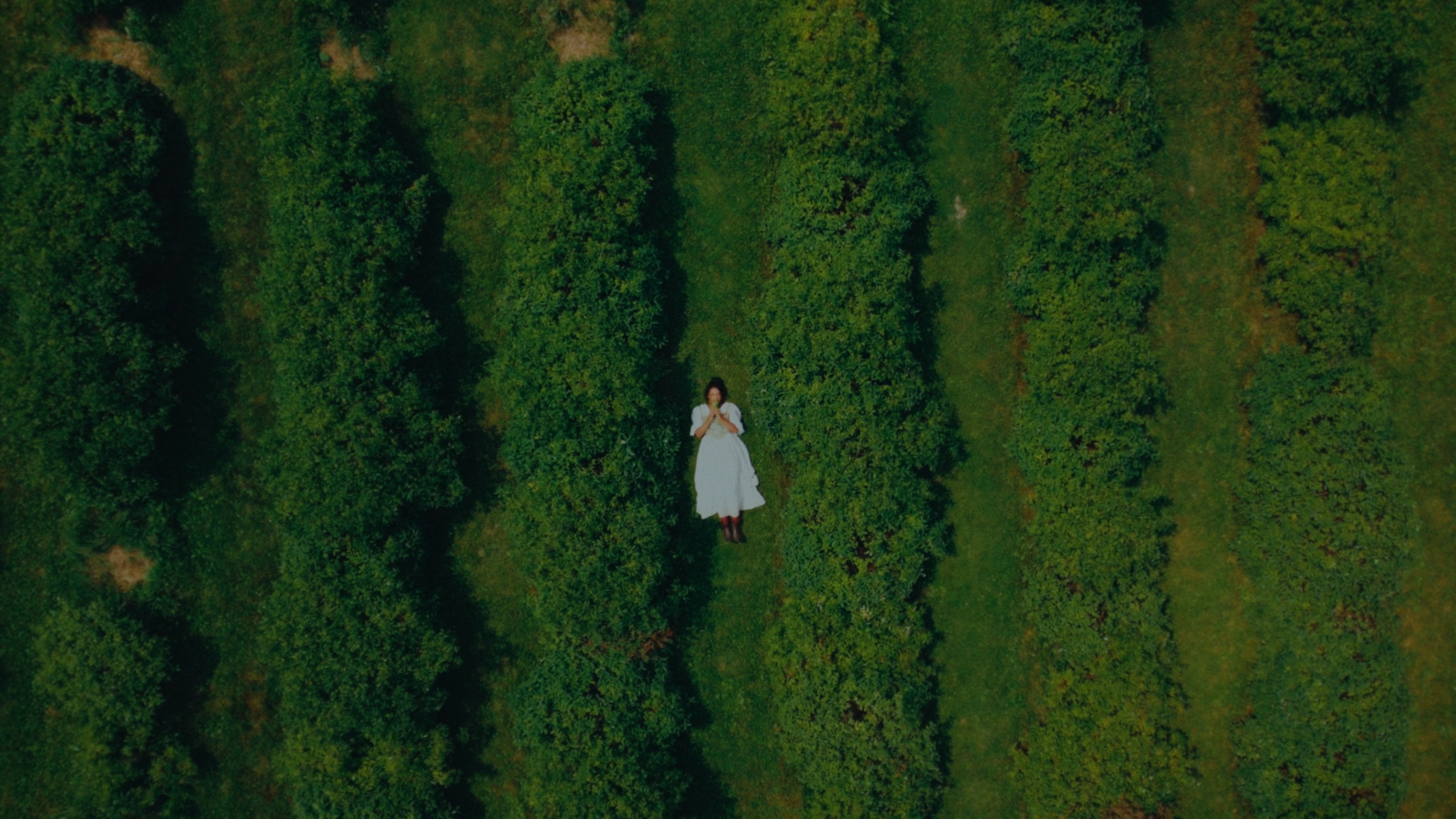 Sara resting at the centre of a deep green orchard