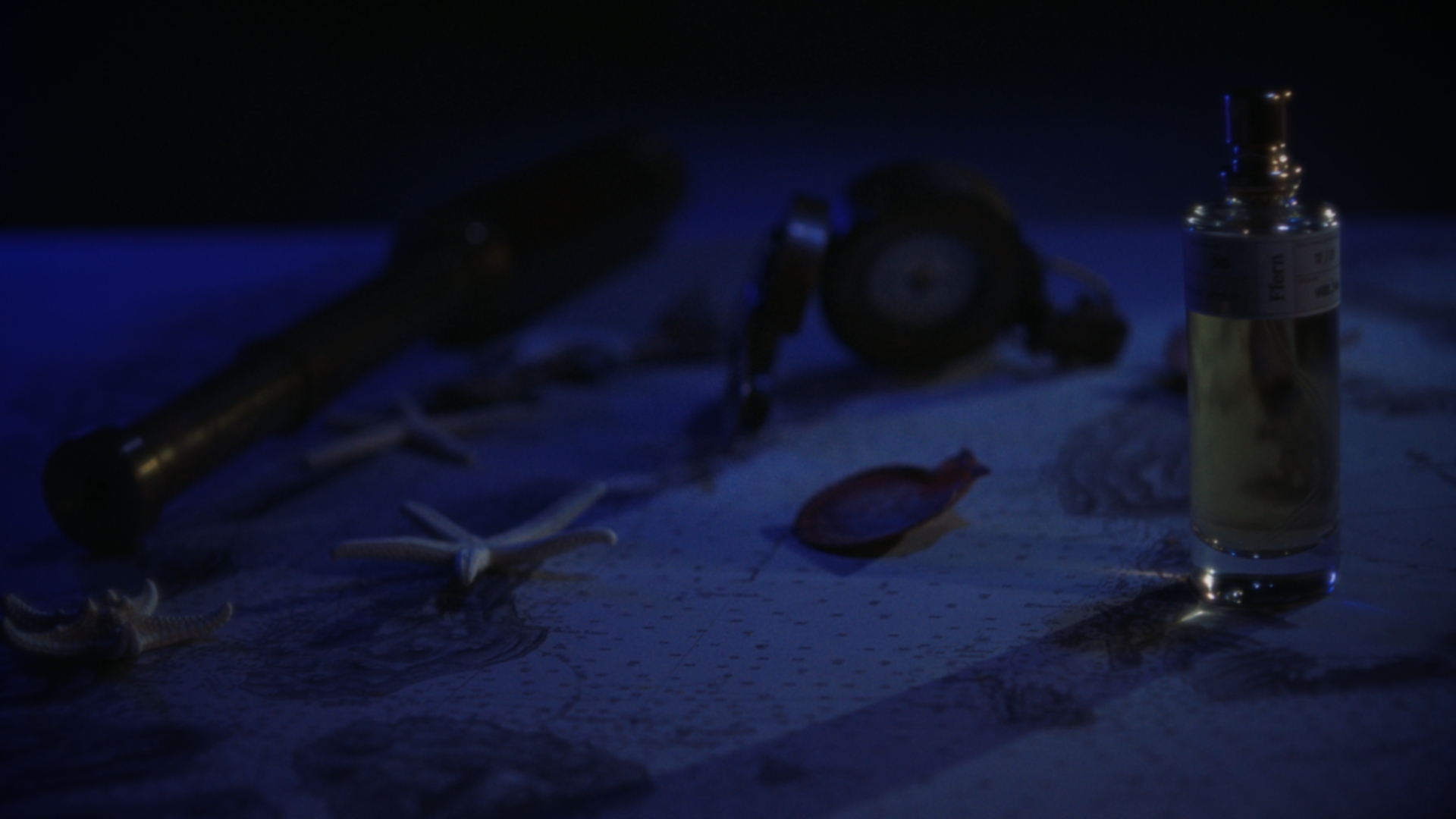 A bottle of Winter fragrance among brass instruments and shells