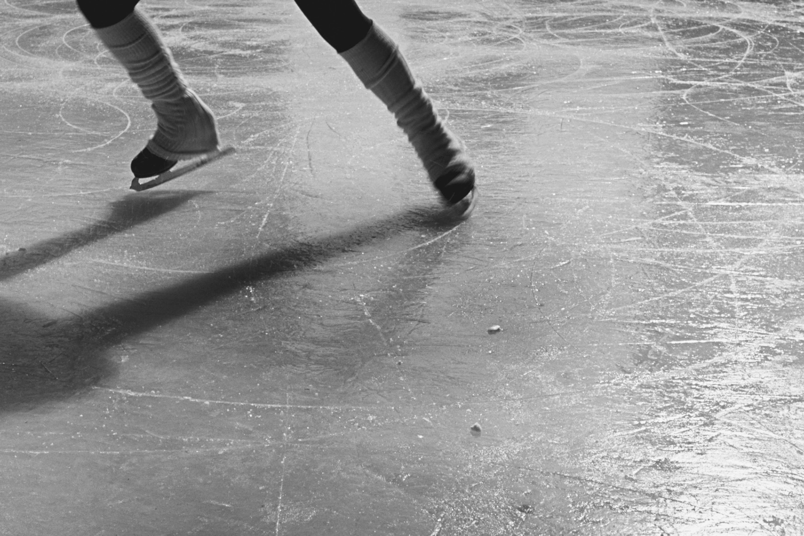Skates and long shadows crossing a marked sheet of ice